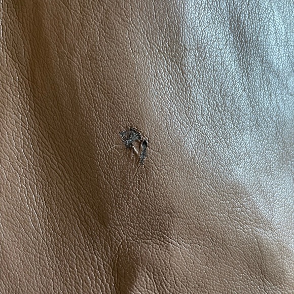 Aritzia leather pants - Picture 4 of 4